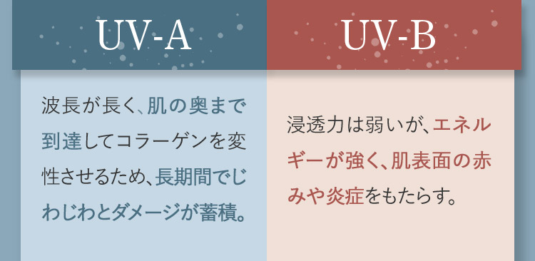 UV-A 波長が長く、肌の奥まで到達してコラーゲンを変性させるため、長期間でじわじわとダメージが蓄積。 UV-B 浸透力は弱いが、エネルギーが強く、肌表面の赤みや炎症をもたらす。 