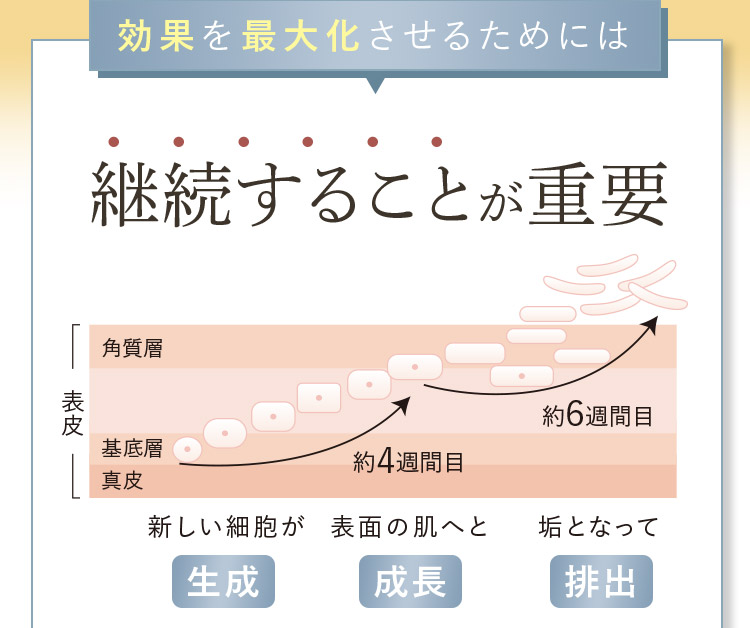 効果を最大化させるためには継続することが重要