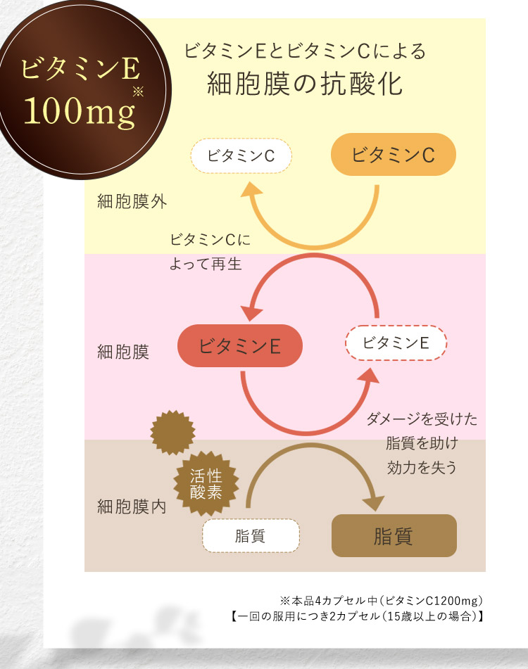 ビタミンE100mg※ ビタミンEとビタミンCによる細胞膜の抗酸化 ※本品4カプセル中(ビタミンC1200mg) 【一回の服用につき2カプセル(15歳以上の場合)】
