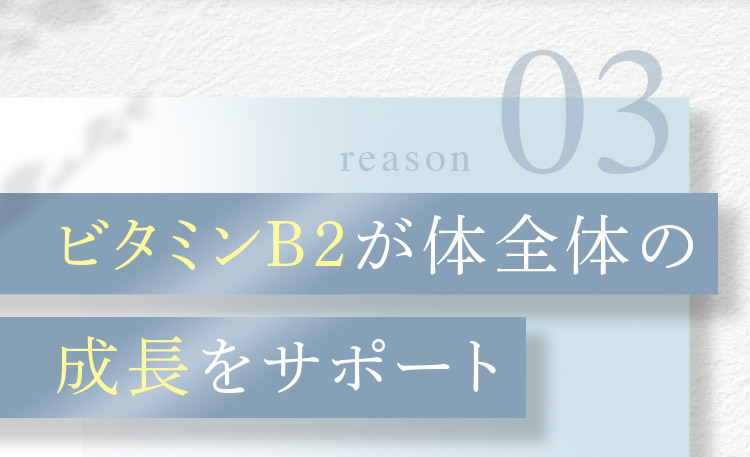 reason 03 ビタミンB2が体全体の成長をサポート